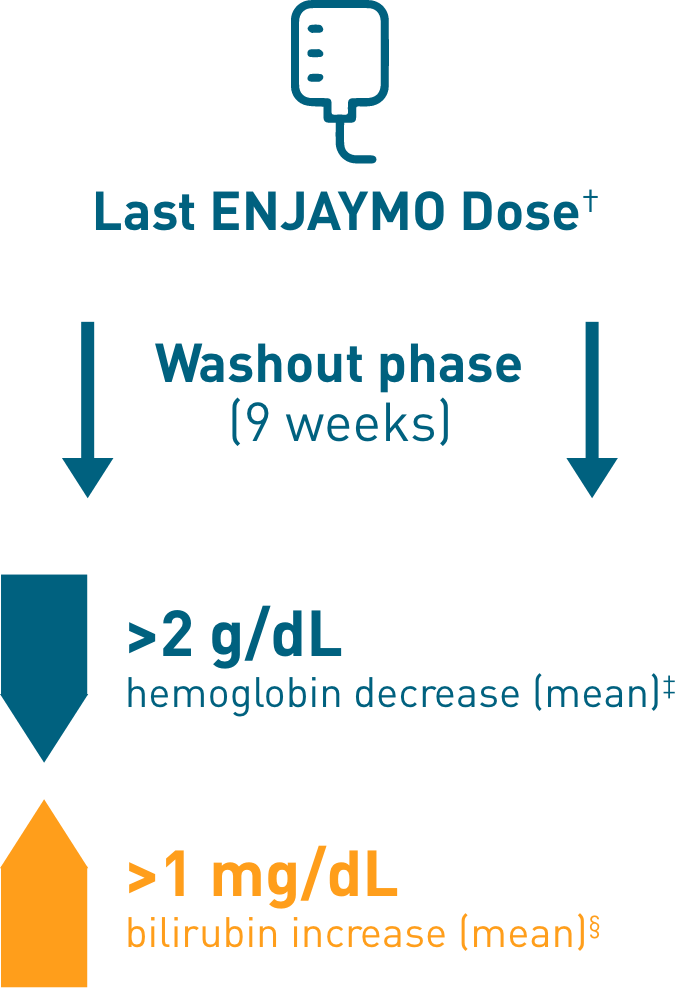 chronic hemolysis infographic
